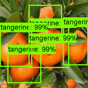 使用tensorflow的Object Detection API做物体识别